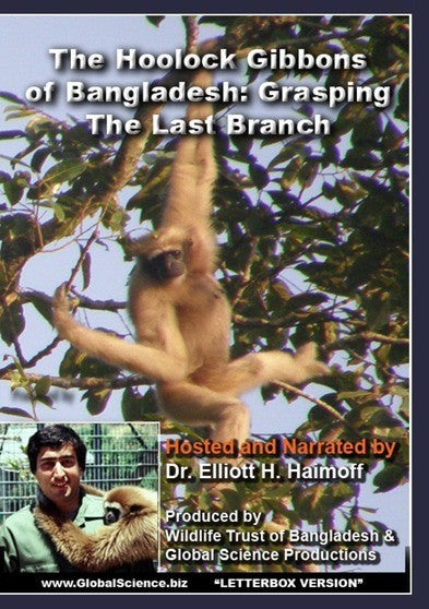 The Hoolock Gibbons of Bangladesh: Grasping the Last Branch (MOD) (DVD Movie) - movie cover art