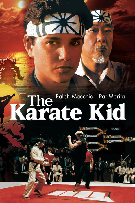 The Karate Kid (Special Edition) DVD - movie cover art