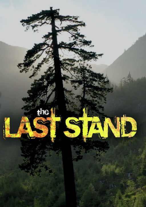 The Last Stand (MOD) (DVD Movie) - movie cover art