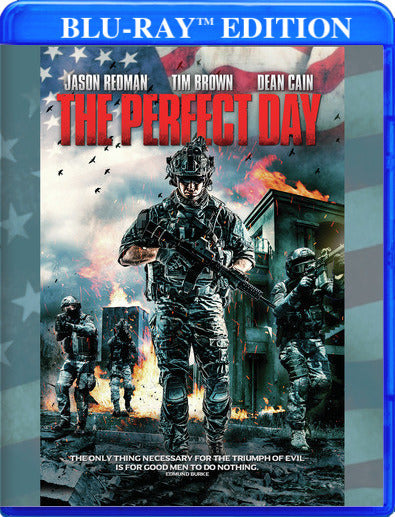 The Perfect Day (MOD) (BluRay Movie) - movie cover art