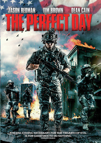 The Perfect Day (MOD) (DVD Movie) - movie cover art