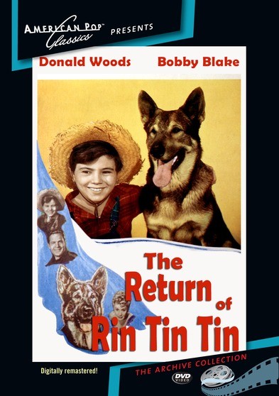 The Return of Rin Tin Tin (MOD) (DVD Movie) - movie cover art