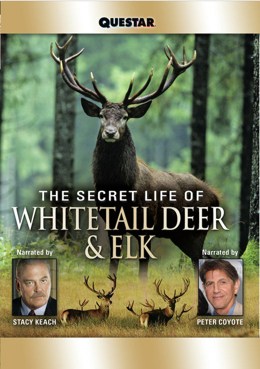 The Secret Life of Whitetail Deer and Elk (MOD) (DVD Movie) - movie cover art