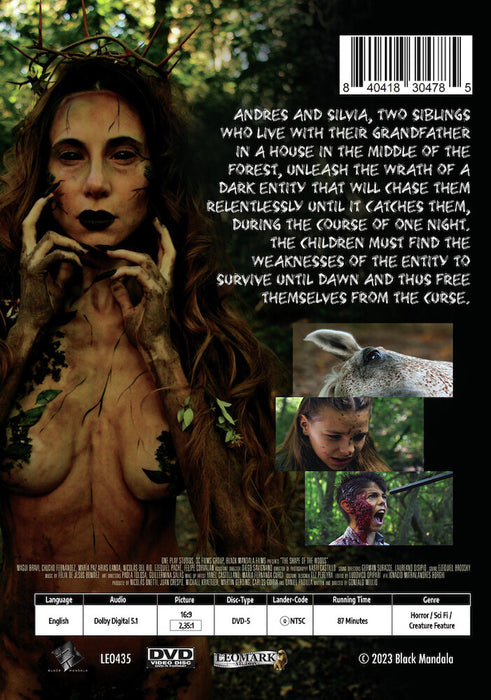 The Shape of the Woods (MOD) (DVD Movie) - back cover art