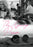 The Spring Poem (MOD) (DVD Movie) - movie cover art