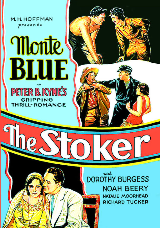 The Stoker (MOD) (DVD MOVIE)