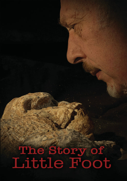 The Story of Little Foot (MOD) (DVD Movie) - movie cover art