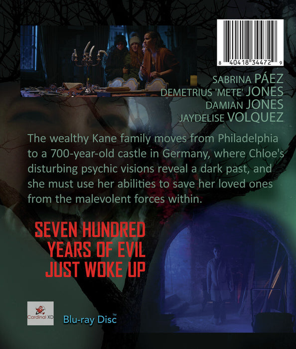 The Summoning of Chloe Kane (MOD) (BluRay Movie) - back cover art