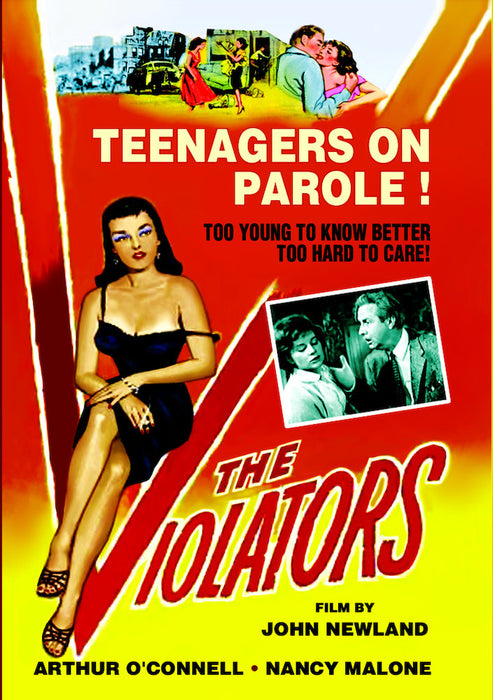 The Violators (MOD) (DVD MOVIE)