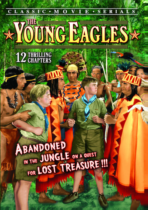 The Young Eagles (MOD) (DVD Movie) - movie cover art