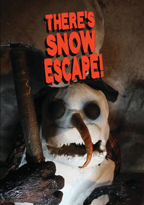 There's Snow Escape! (MOD) (DVD Movie) - movie cover art