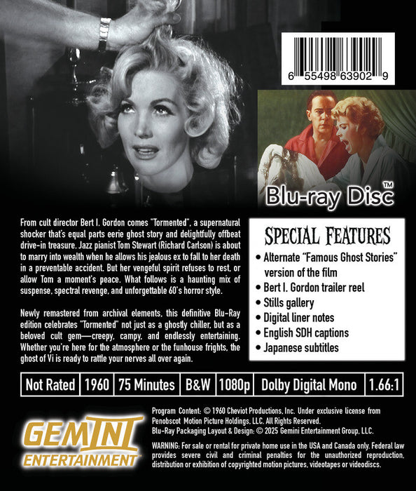 Tormented: Special Edition (MOD) (BluRay Movie) - back cover art