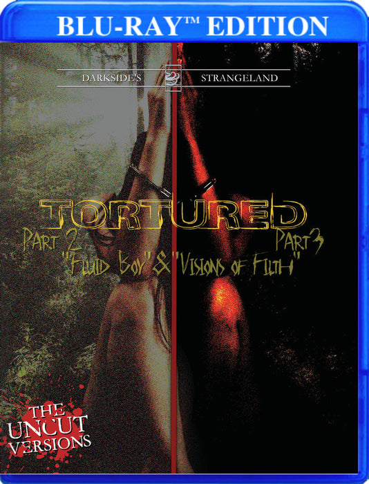 Tortured 2 & 3 (MOD) (BluRay Movie) - movie cover art