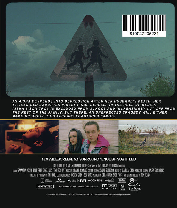 Two for Joy (MOD) (BluRay Movie) - back cover art
