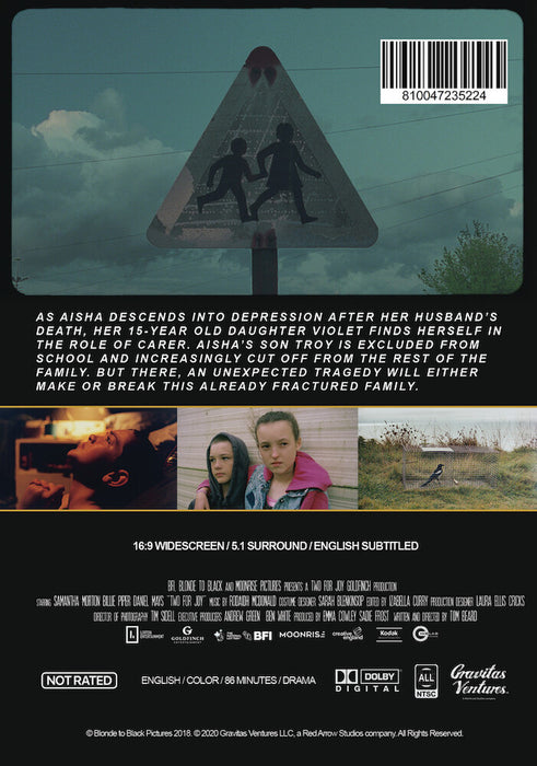 Two for Joy (MOD) (DVD Movie) - back cover art