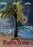 Under the Palm Tree (MOD) (DVD Movie) - movie cover art