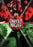 Unholy Night (MOD) (DVD Movie) - movie cover art