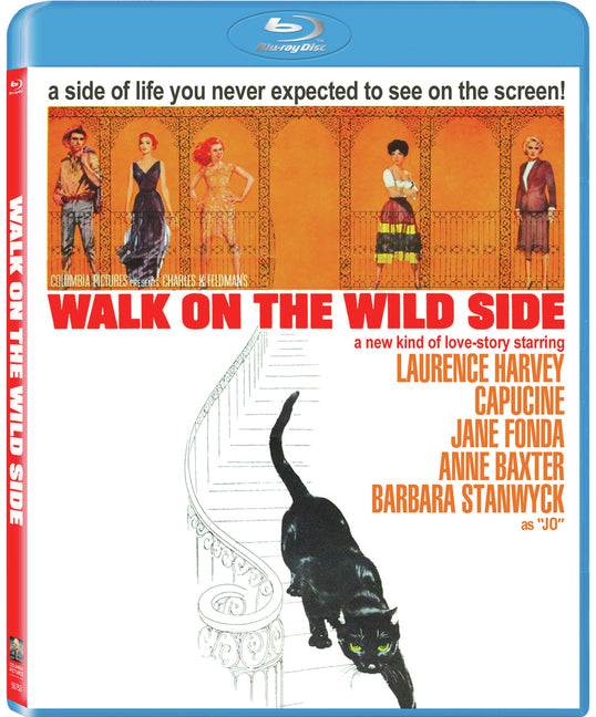 Walk on the Wild Side (MOD) (BluRay Movie) - movie cover art