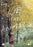 We the Animals (MOD) (DVD Movie) - movie cover art