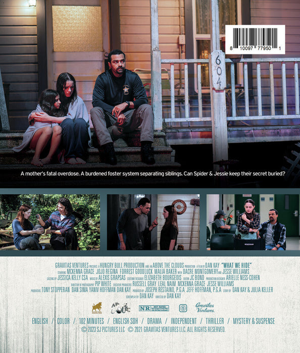 What We Hide (MOD) (BluRay Movie) - back cover art