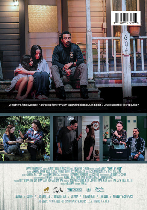 What We Hide (MOD) (DVD Movie) - back cover art
