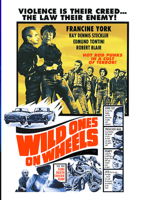 Wild Ones on Wheels (MOD) (DVD Movie) - movie cover art