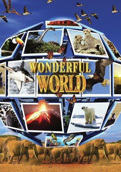 Wonderful World (MOD) (DVD Movie) - movie cover art