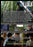 You Can't Win (MOD) (DVD Movie) - back cover art