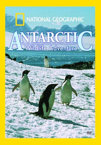 National Geographic: Antarctic Wildlife Adventure (MOD) (DVD Movie)