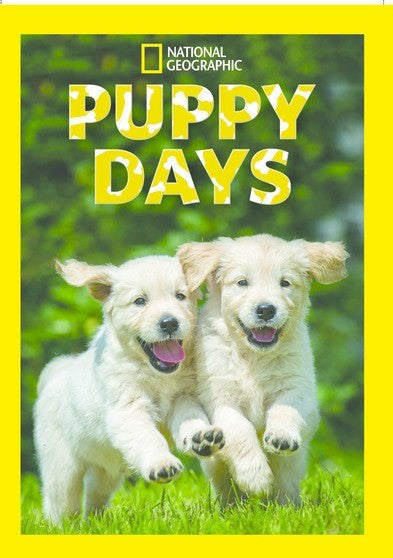 Puppy Days S1 (MOD) (DVD Movie)