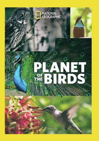 Planet Of The Birds (MOD) (DVD Movie)