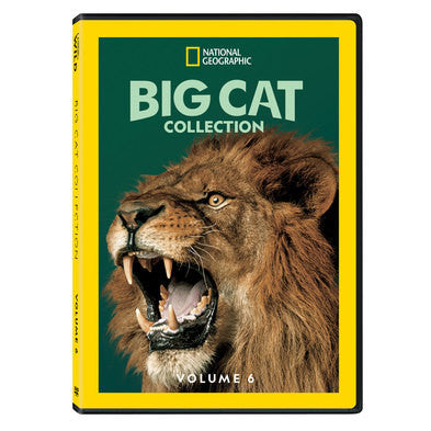 Big Cat Collection - Volume 6 (MOD) (DVD Movie)