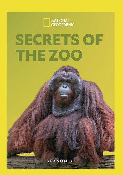Secrets of the Zoo - Season 3 (MOD) (DVD Movie)
