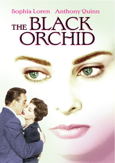 Black Orchid (MOD) (DVD Movie)
