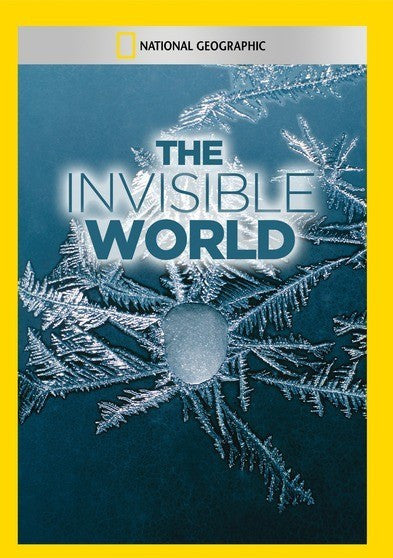 The Invisible World (MOD) (DVD Movie)
