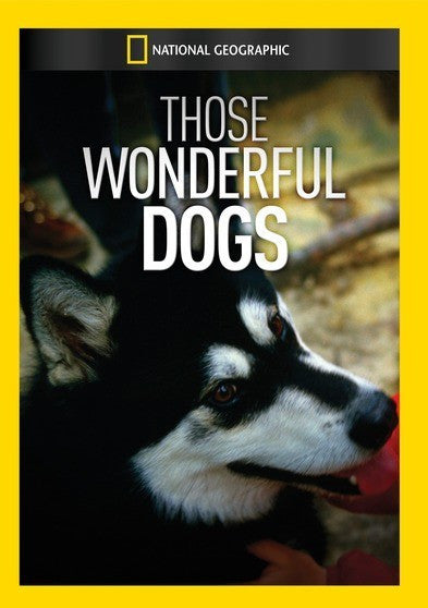 Those Wonderful Dogs (MOD) (DVD Movie)