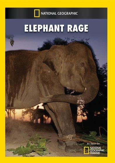 Elephant Rage