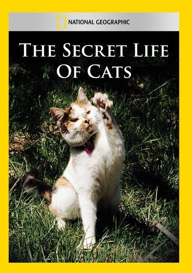 The Secret Life of Cats (MOD) (DVD Movie)