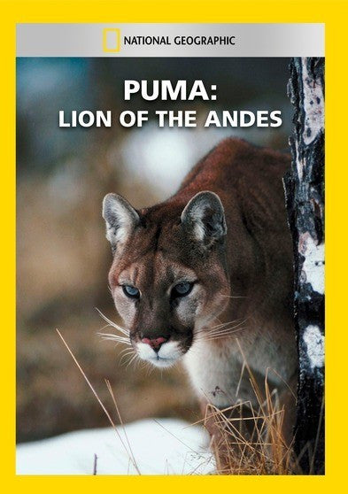 Puma: Lion of the Andes (MOD) (DVD Movie)