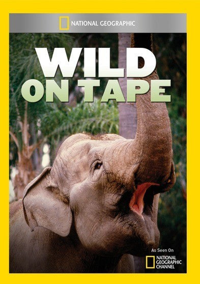Wild On Tape (MOD) (DVD Movie)