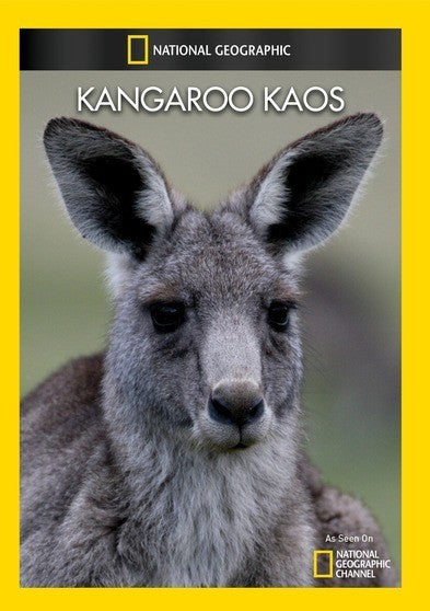Kangaroo Kaos (MOD) (DVD Movie)