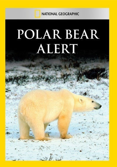 Polar Bear Alert (MOD) (DVD Movie)