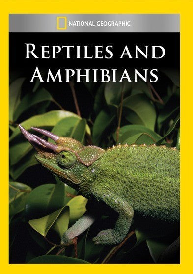Reptiles and Amphibians (MOD) (DVD Movie)