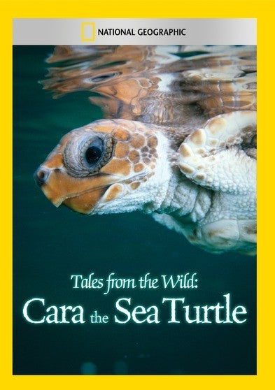 Tales from the Wild: Cara the Sea Turtle (MOD) (DVD Movie)