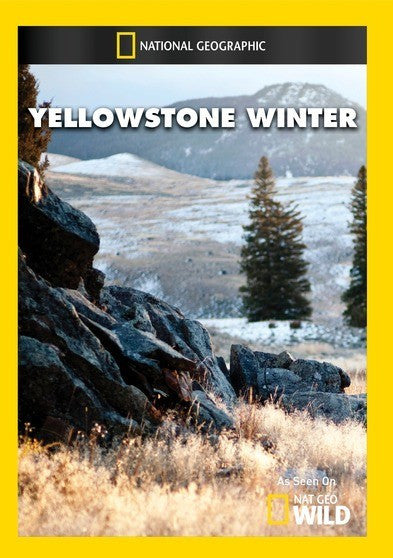 Yellowstone Winter (MOD) (DVD Movie)