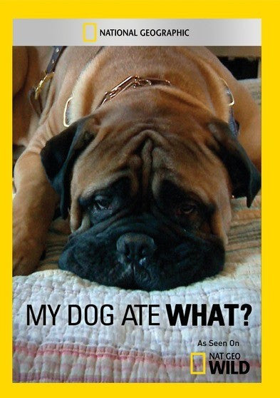 My Dog Ate What?