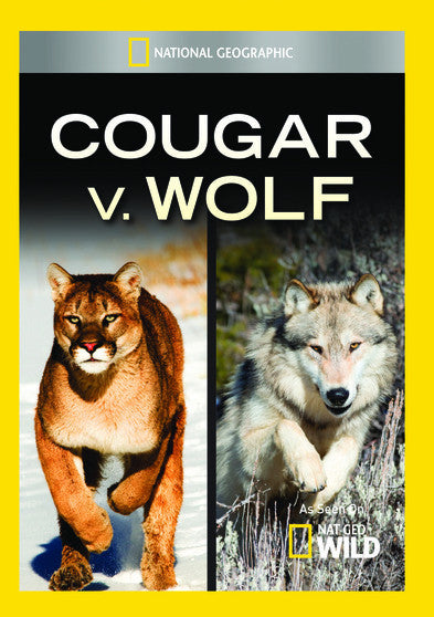 Cougar v Wolf (MOD) (DVD Movie)