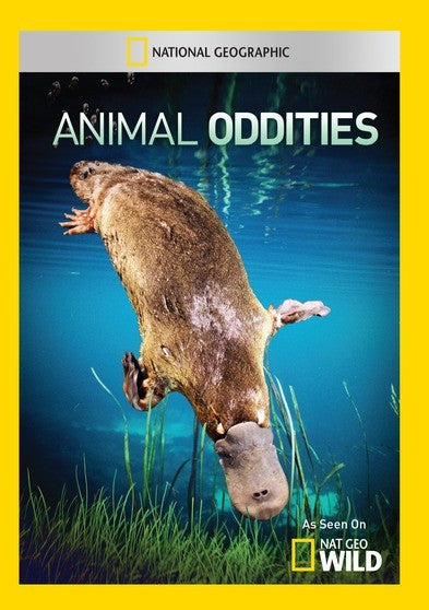 Animal Oddities (MOD) (DVD Movie)