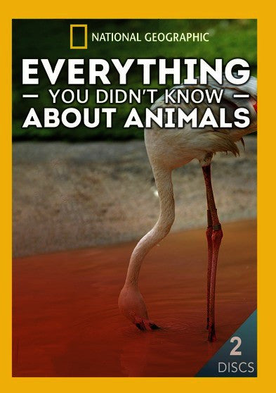 Everything You Didn't Know About Animals (MOD) (DVD Movie)