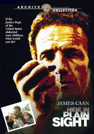 Hide in Plain Sight (MOD) (DVD Movie)